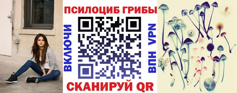 Галлюциногенные грибы Psilocybine cubensis  Купить закладки  Канск 