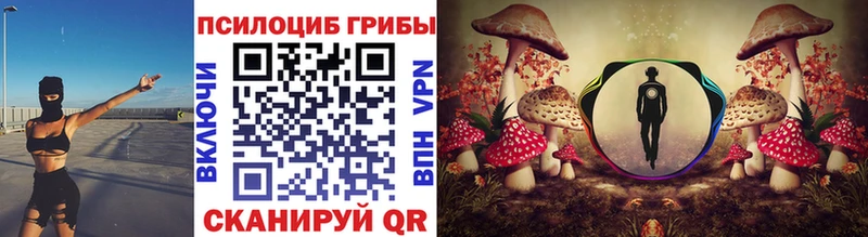 Псилоцибиновые грибы Psilocybine cubensis Канск